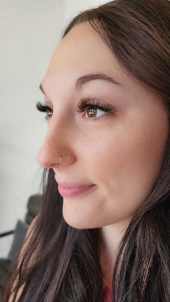 Hybrid Fullset at Gallerie 1922 in Cockeysville, MD