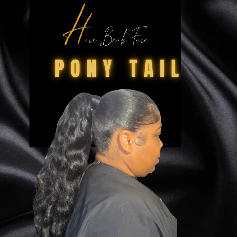 FLAWLESS SLEEK PONYTAIL at Hairbeatsface in Detroit, MI