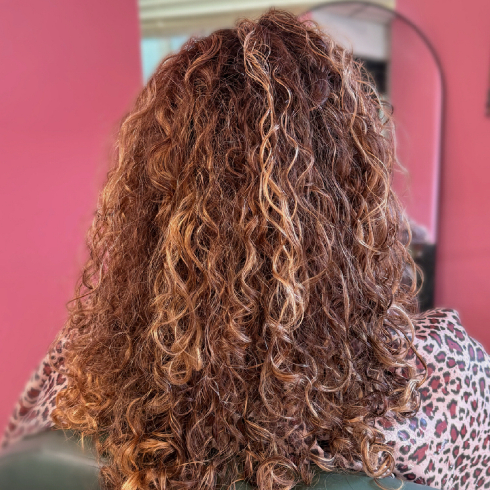 Curly Kutz at Kewpie Kutz in Evansville, IN