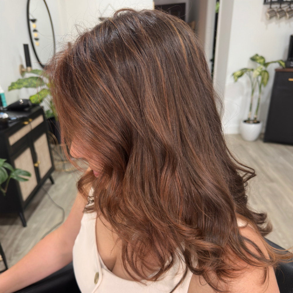 Root Retouch/Single Process at • Mane • tHAIRapy • Head • Spa in Allentown, PA