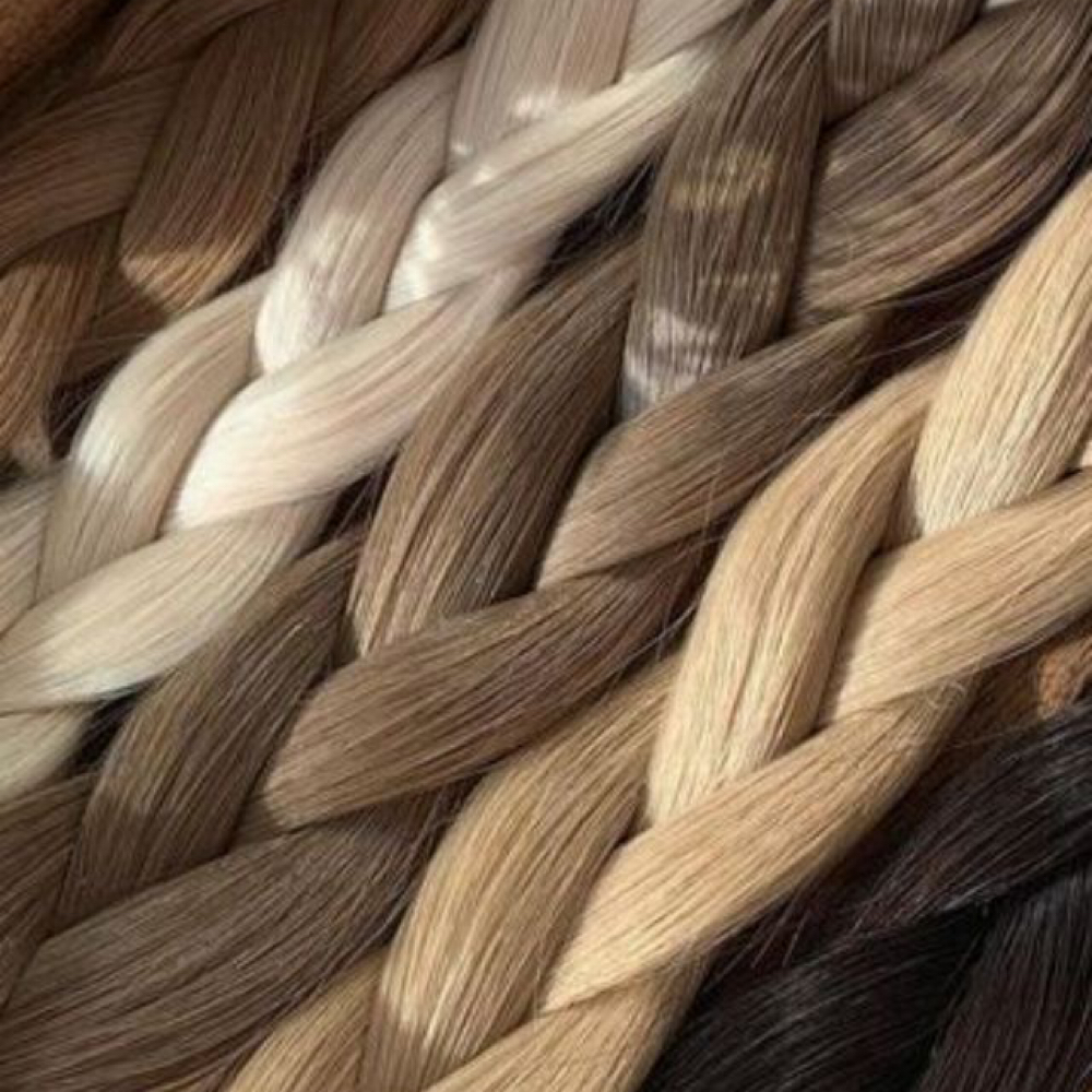 THE EXTENSION EDIT at MANE EDIT in Morgantown, WV