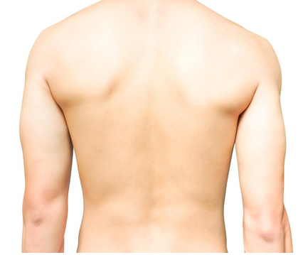 Full Back Wax