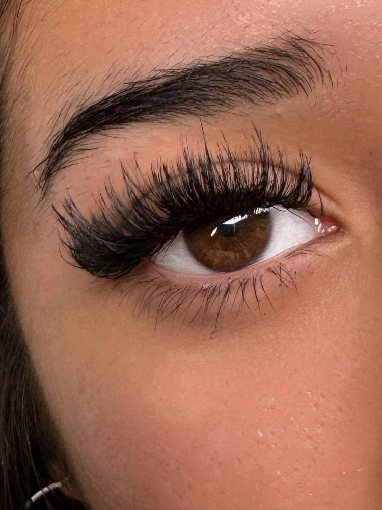 Volume Lashes