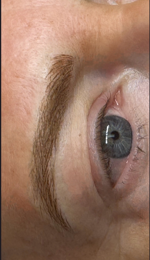 Signature Combo Brow