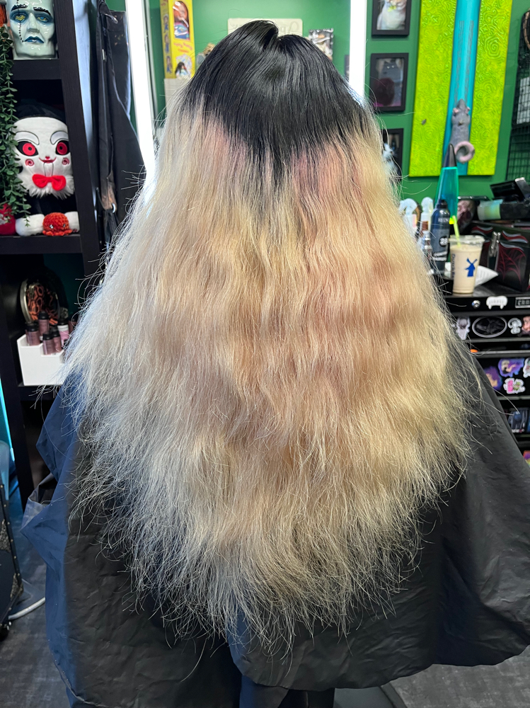 EXTRA LONG root retouch at Prepared To Dye in Las Vegas, NV