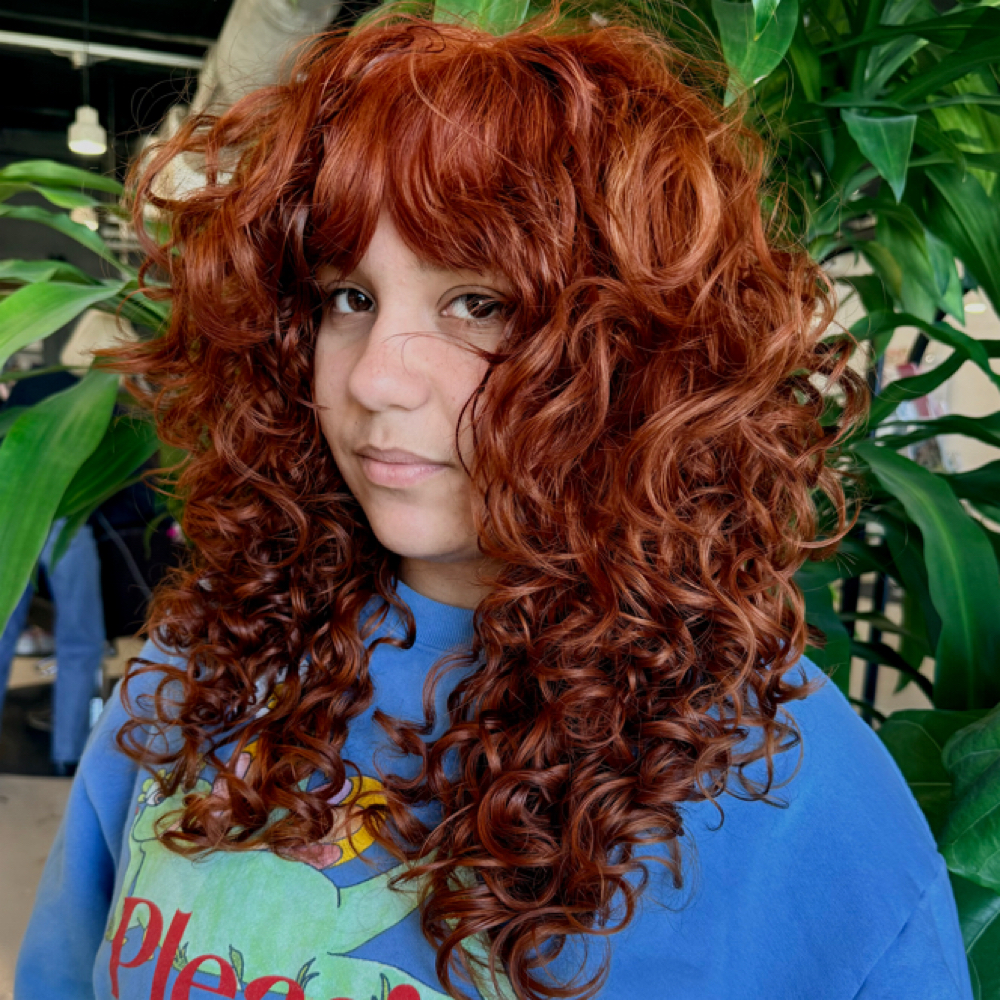 ALL OVER COLOR at TeeCutsHair in Tampa, FL