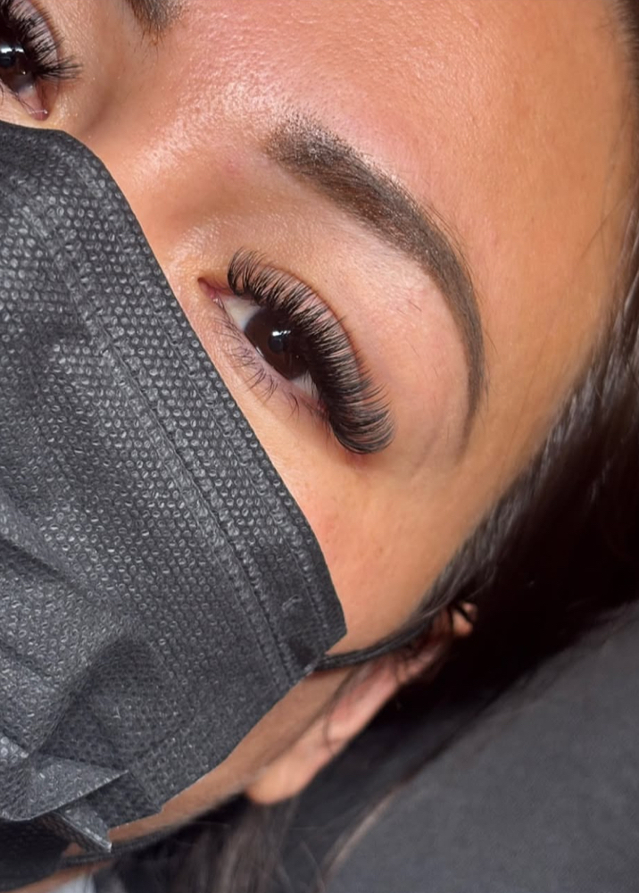 Volume Lashes