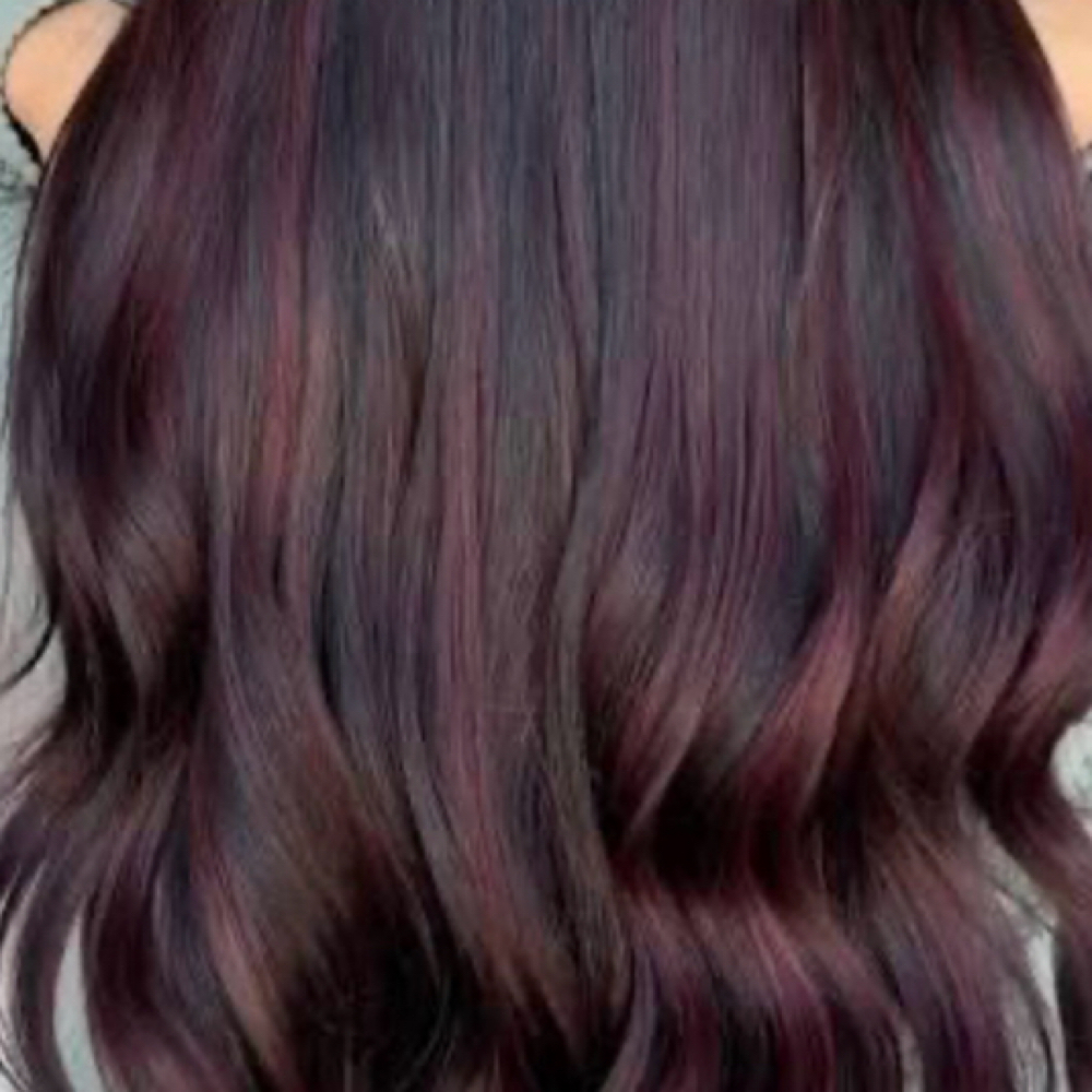 All Over Color + Haircut + Blow Dry at J & C Legacy Salon in Dawsonville, GA
