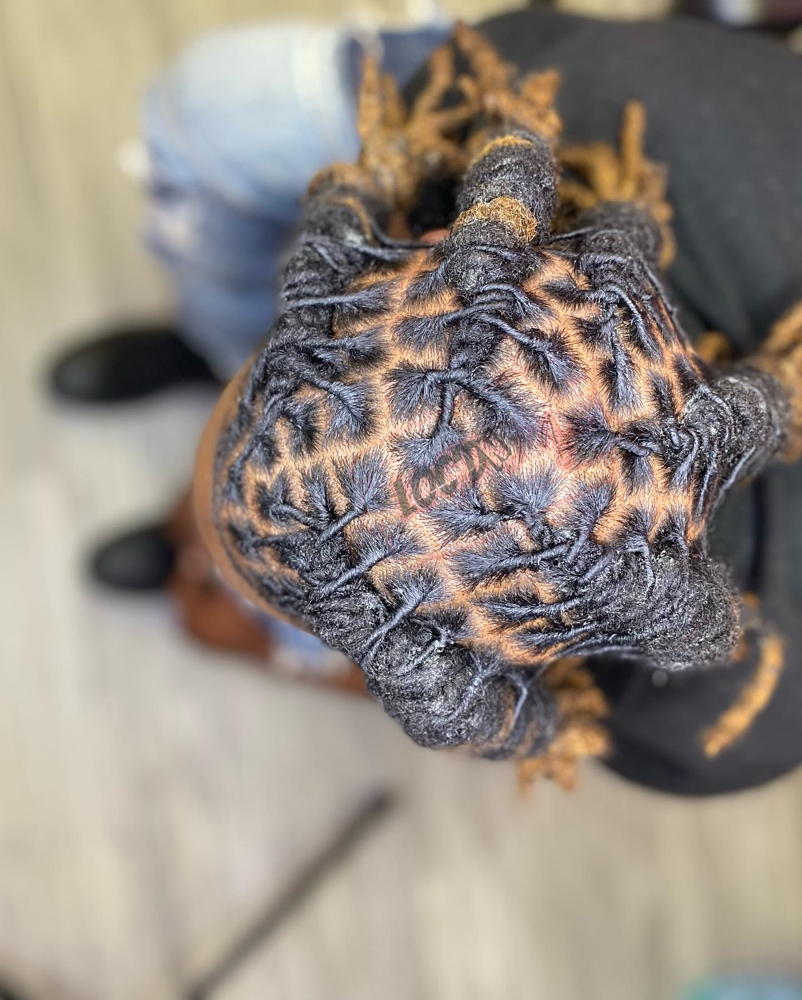 Dread Style ONLY at Loc’d N w/ Ajaa in Flint, MI