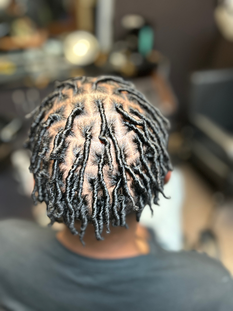 Starter Locs