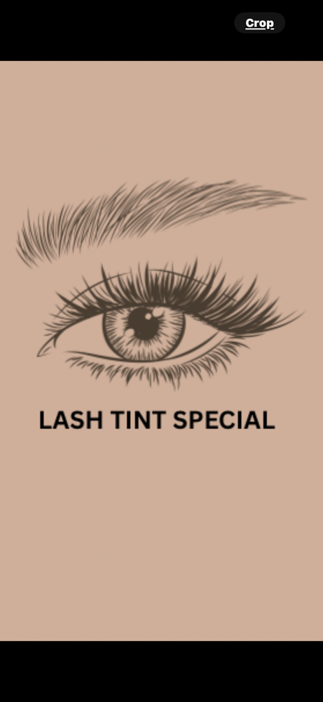 Lash Tint Special