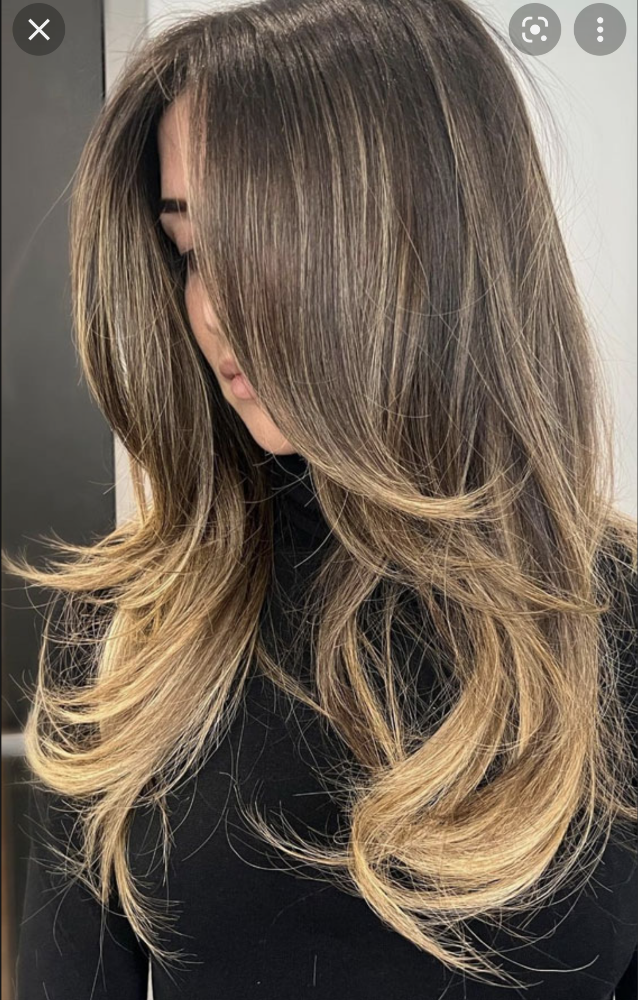 Blowdry and Style