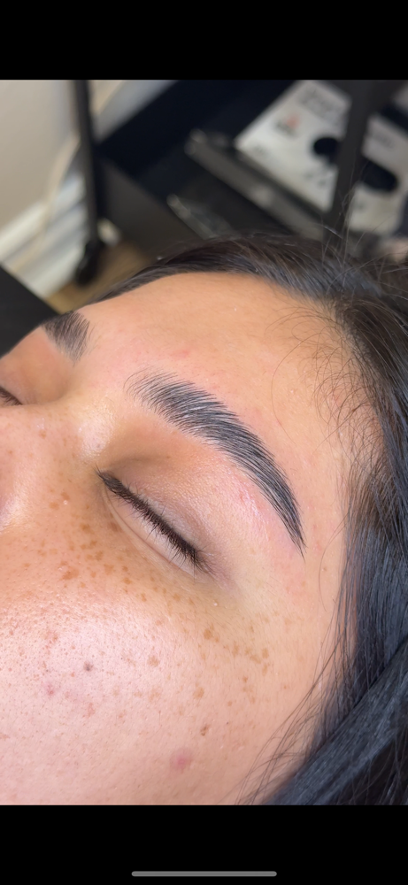 Brow Wax+Lamination