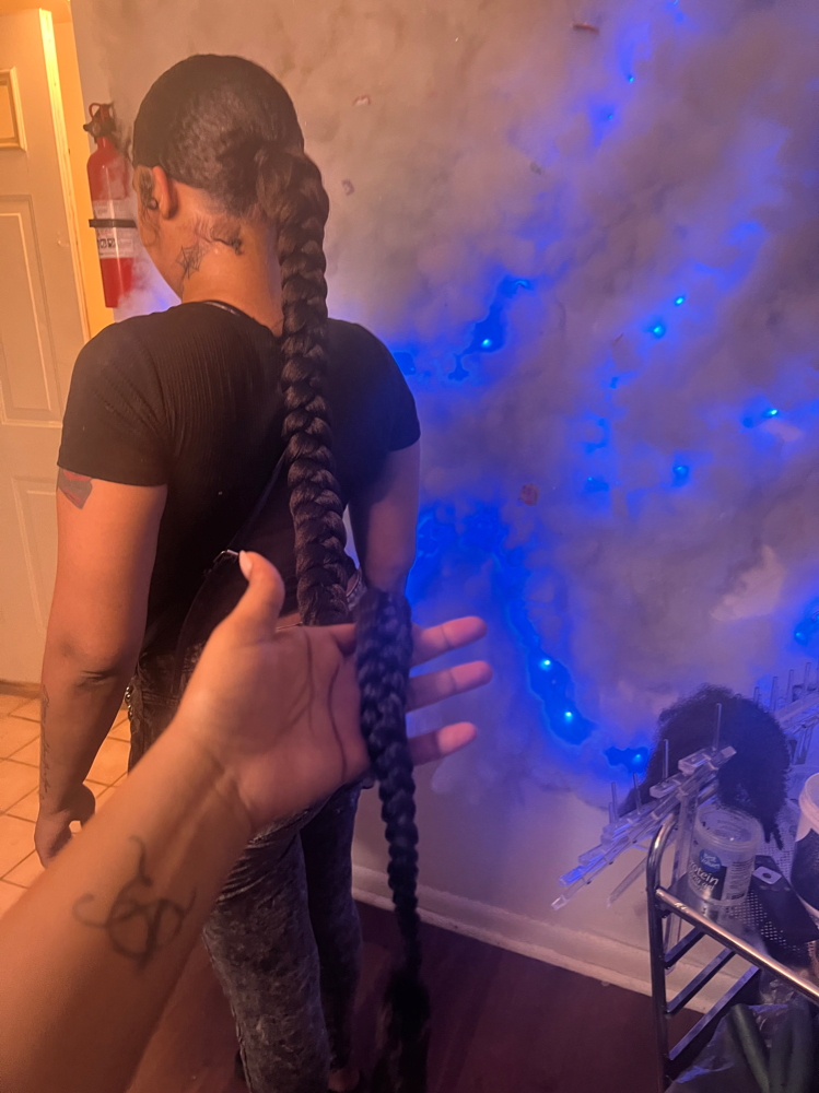 Braided Ponytail