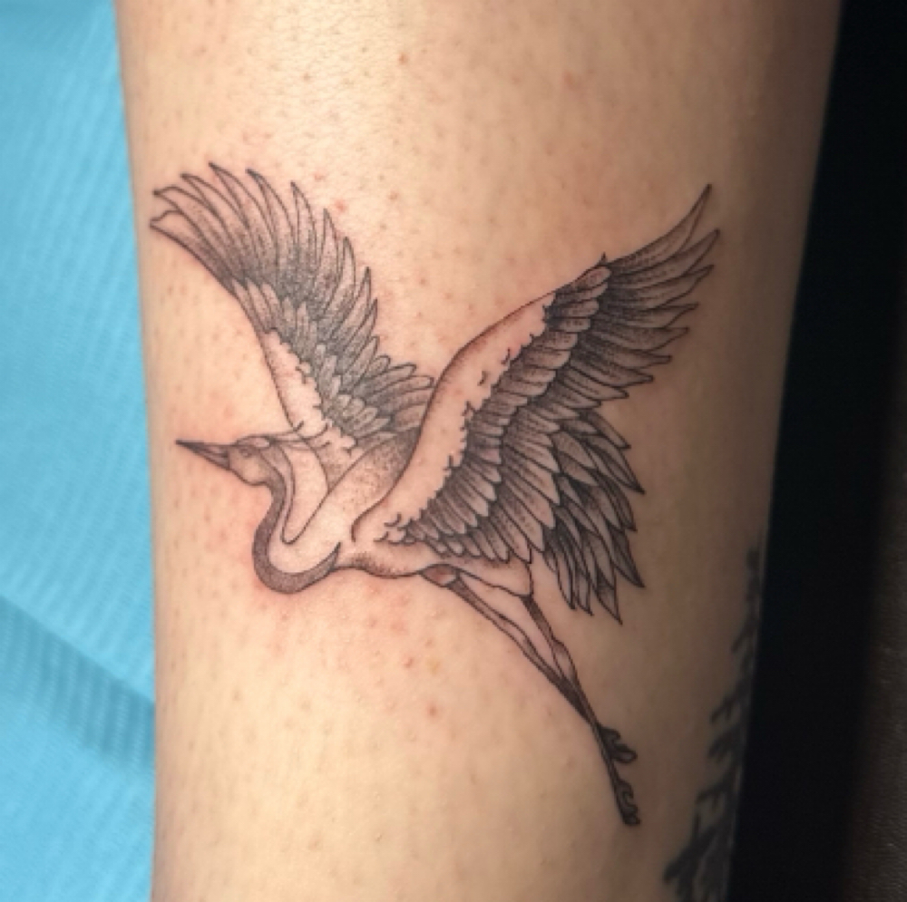 Medium Tattoo 5”-8” at Painted Pony Ink in Burwell, NE