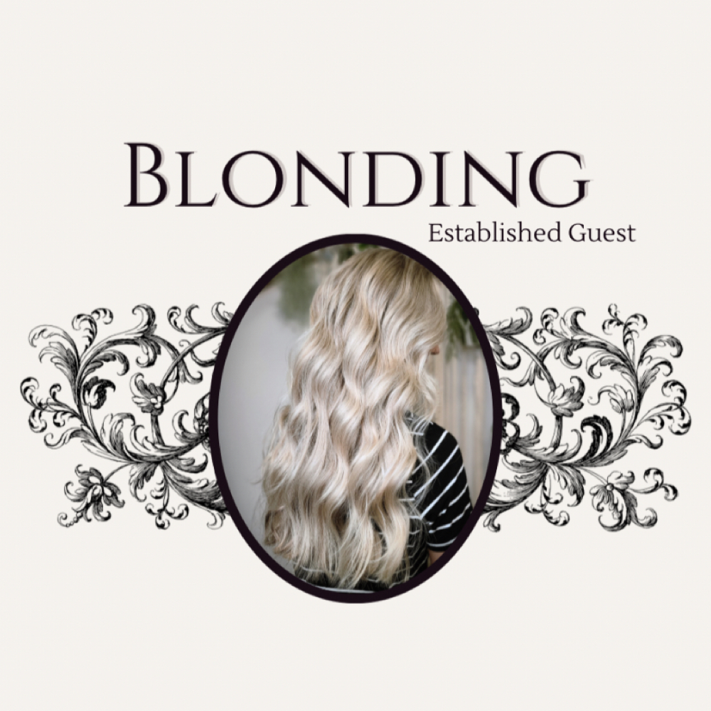 Blonding- Established Guest