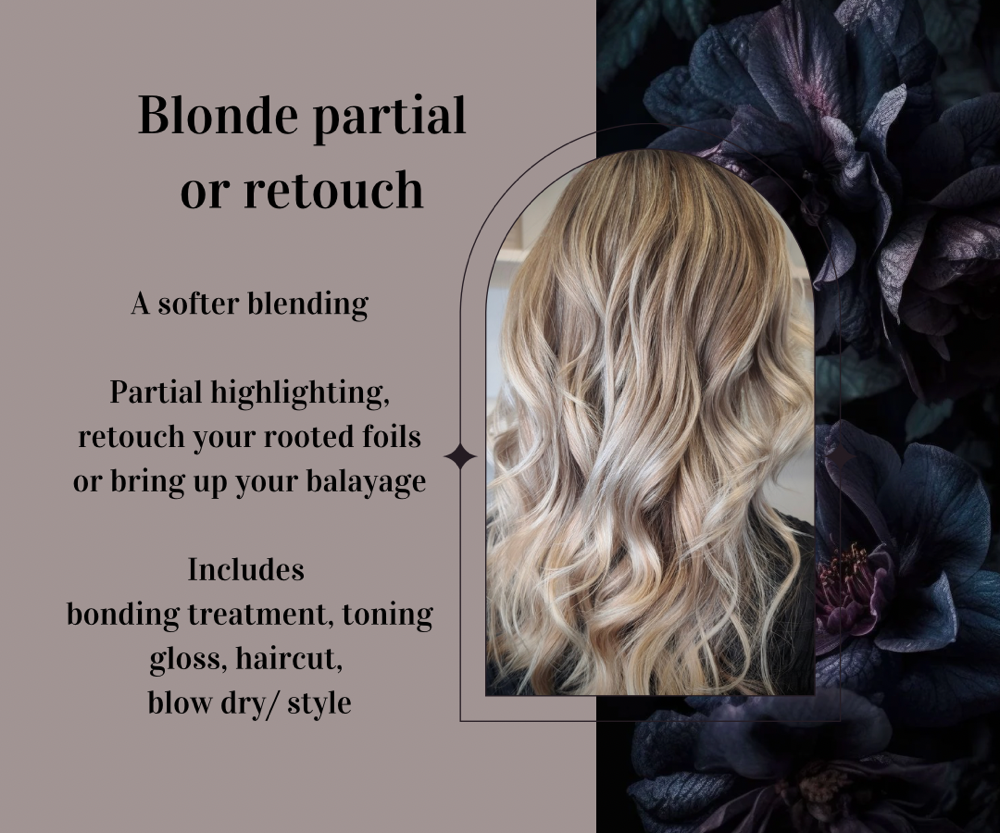 Partial Blonde/ Blonde Retouch