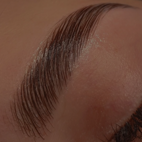 Signature Brow Lamination at By Rozlyn Sol in Fresno, CA