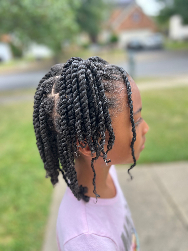 Natural 2 or 3 Strand Twist