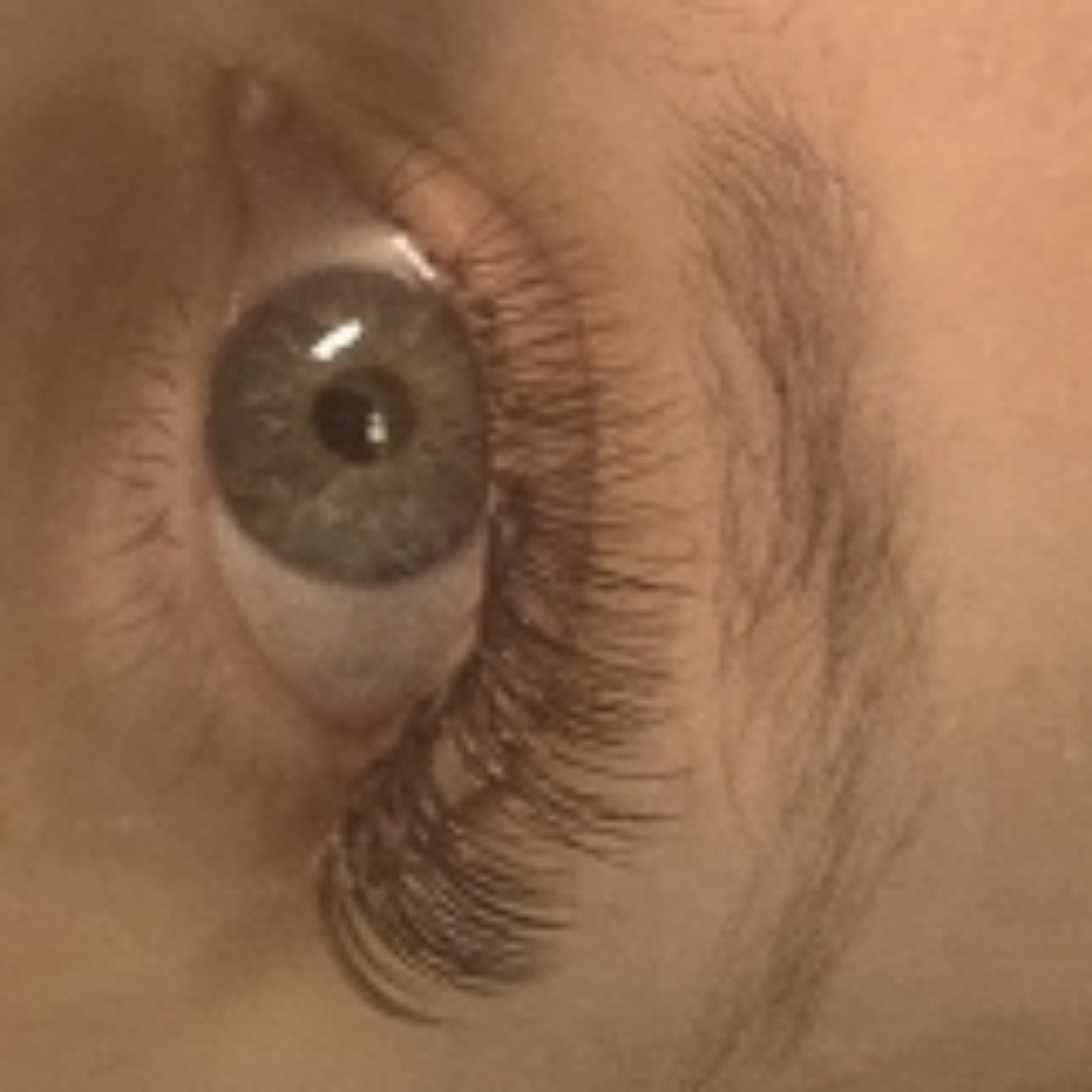 3D VOLUME SET at Lashes by Sadie in Arab, AL