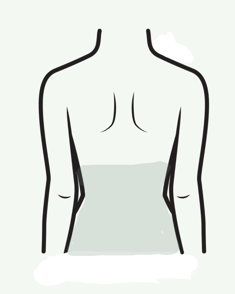Lower Back