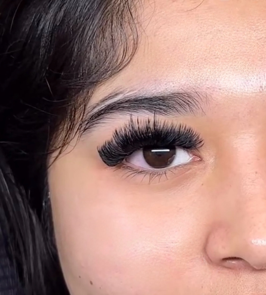 Volume Lash Extensions - Fill at Lovelashwithjocelyn in Arleta, CA