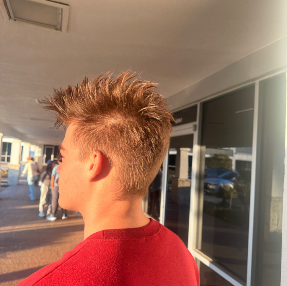 Mens Cut at Lavish Studios LLC in Live Oak, FL