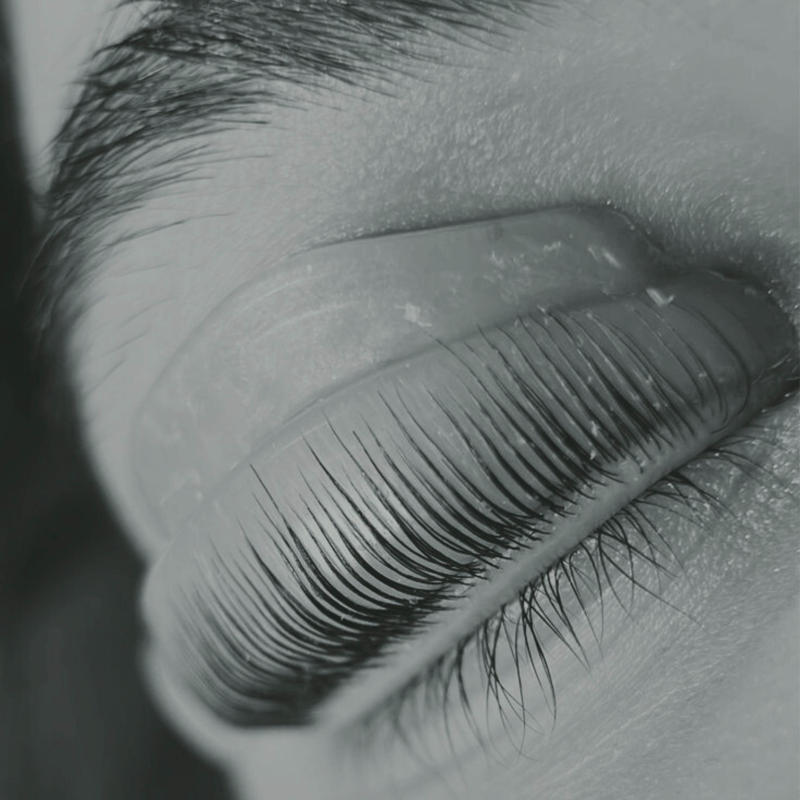 MODEL CLIENT STANDARD LASH LIFT