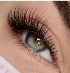 HYBRID LASHES