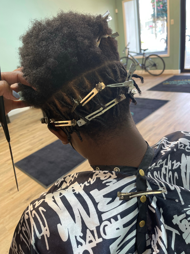 Starter Locs