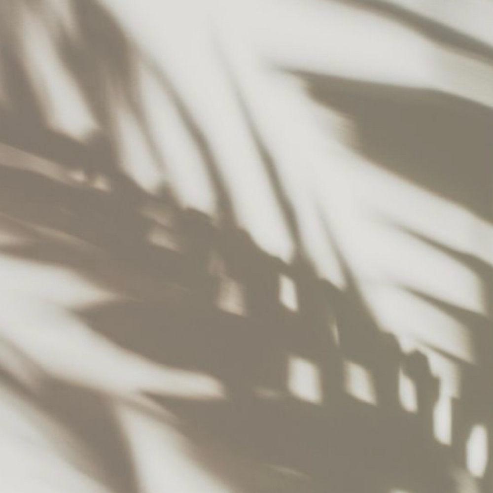 Travel Spray at Rae Glow & Co | Luxury Spray Tanning in Athens, AL