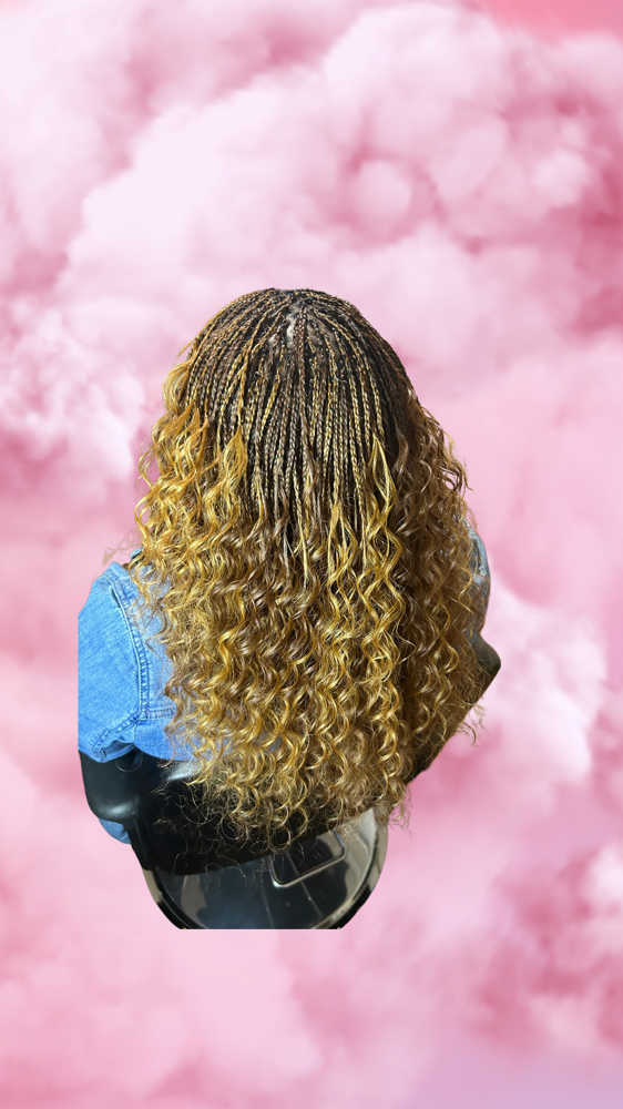 Braid Package ~ Micro Braids
