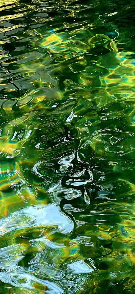 Natural Hair 2 Strand Twist