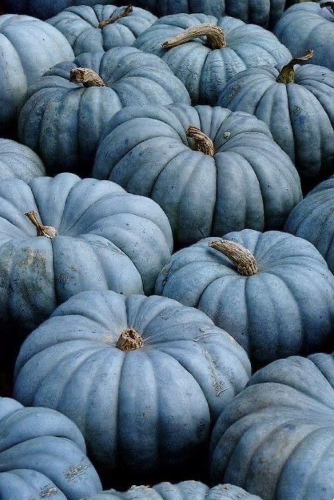 Pumpkin Peel Package