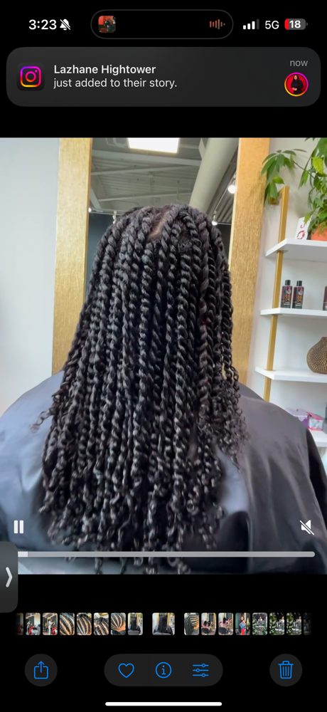 Two Strand Twist