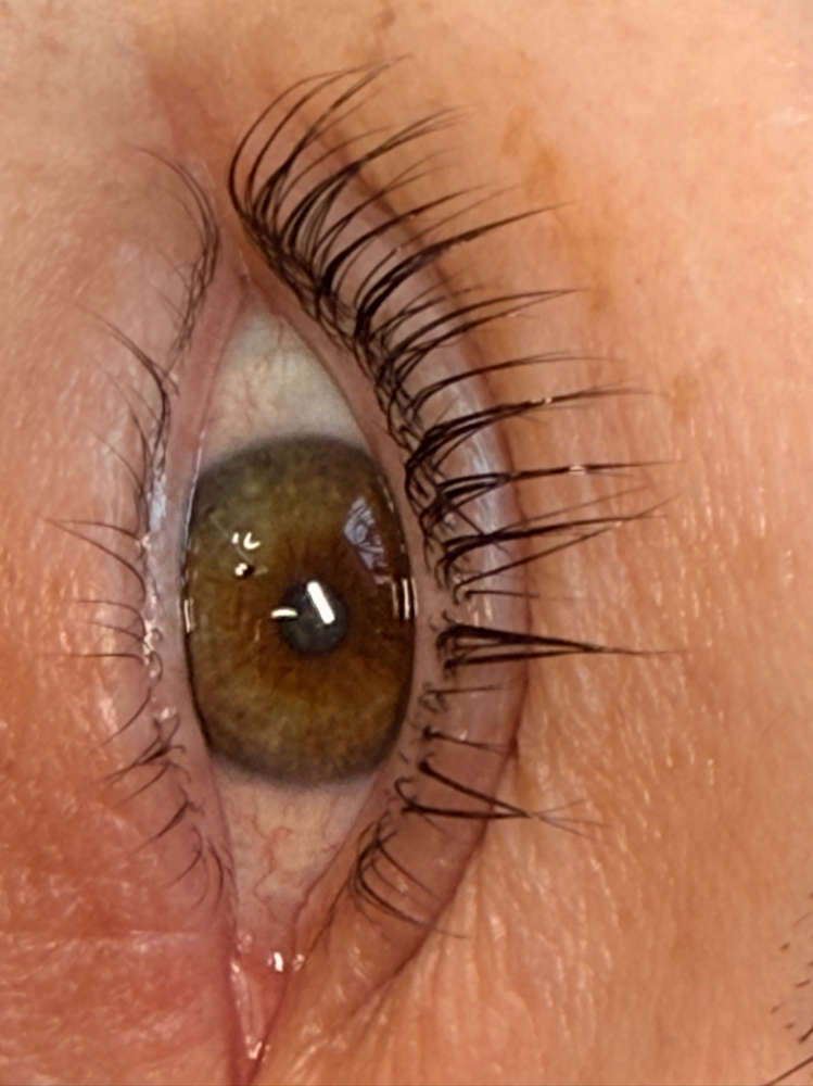 Korean Lash Lifts With tint