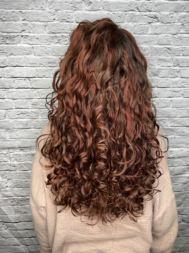 Curly Cut (Existing Clients Only)