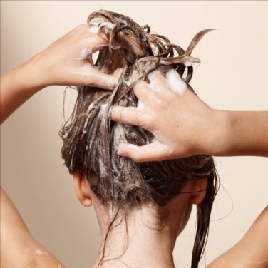 Womens Haircut + Shampoo at The Mane Room in Stamping Ground, KY