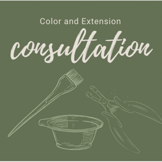 Color and Extension Consultation at Beloved Beauty Company in Springfield, MO