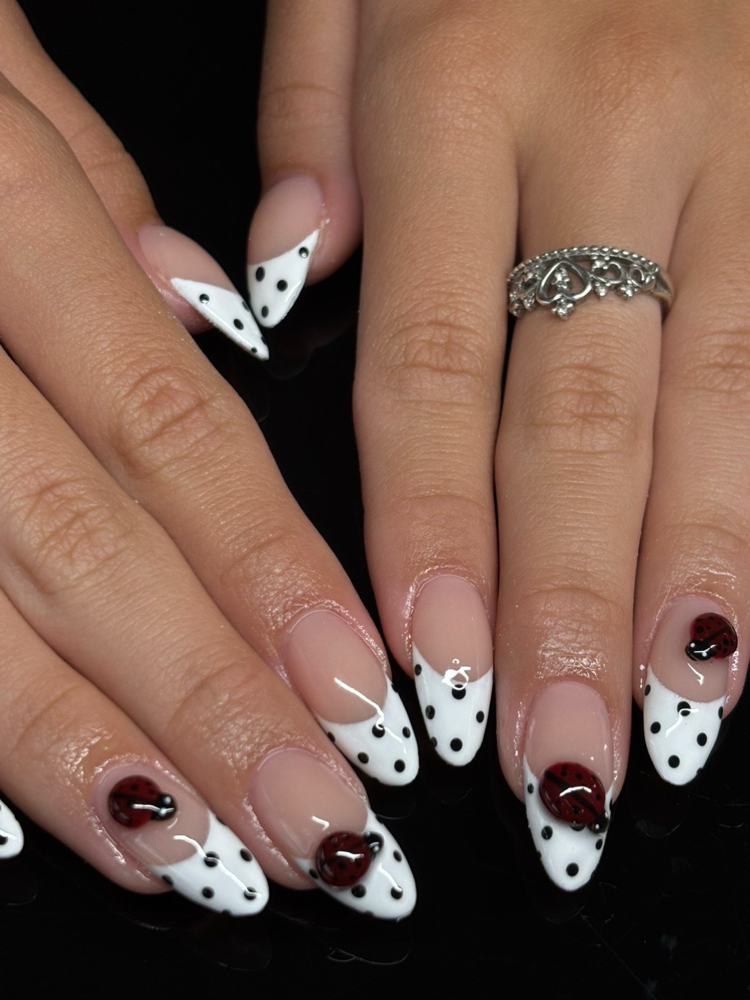 Medium Acrylic Set