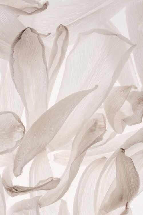 Lymphatic Drainage
