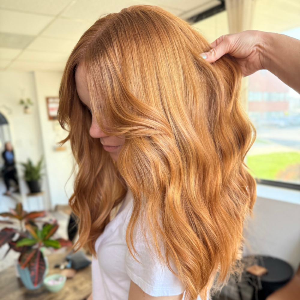 Color Root Touch Up W/ Cut at Shannon McKew in Nottingham, MD