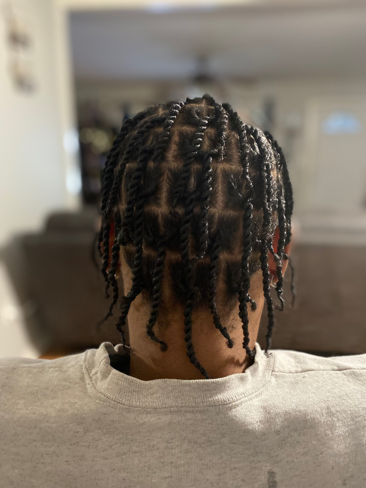 Two-strand Twist Style (natural)