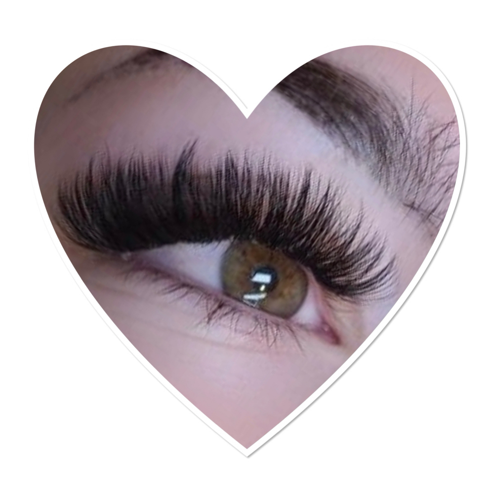 Hybrid/Volume 2 Week Fill at Twisted Lash in Reno, NV