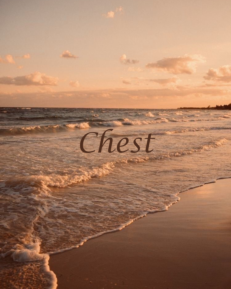 Chest at Beloved Skinn in Gainesville, GA