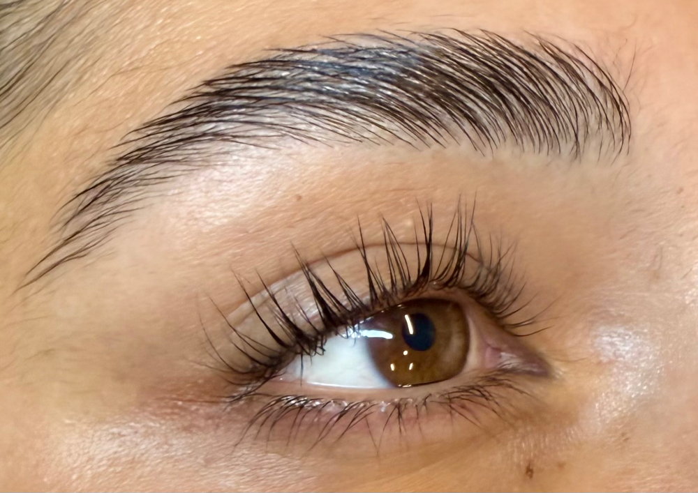 Lash lift and tint combo at Lash & Brow studio by CC in Castle Rock, CO