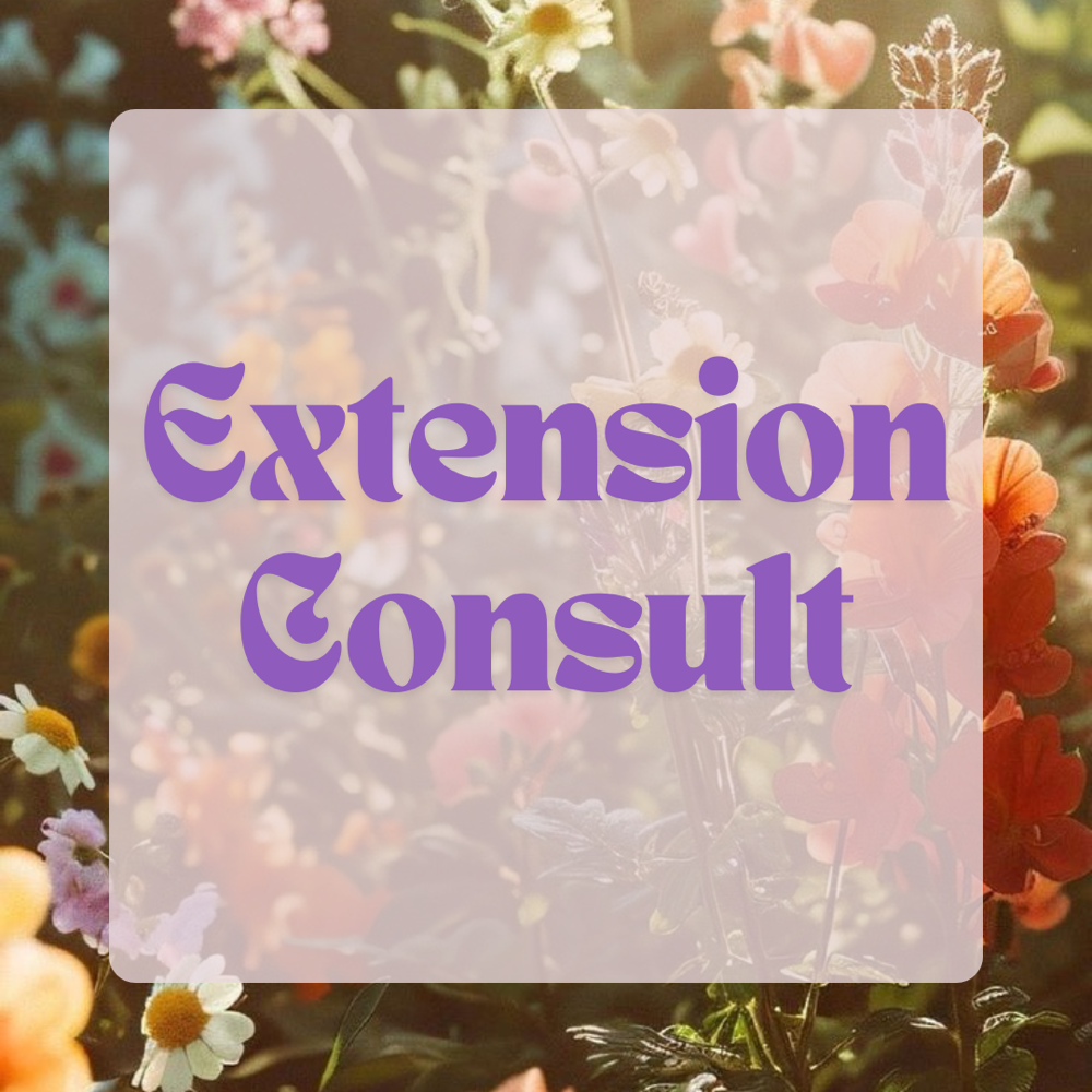 Extension Consultation