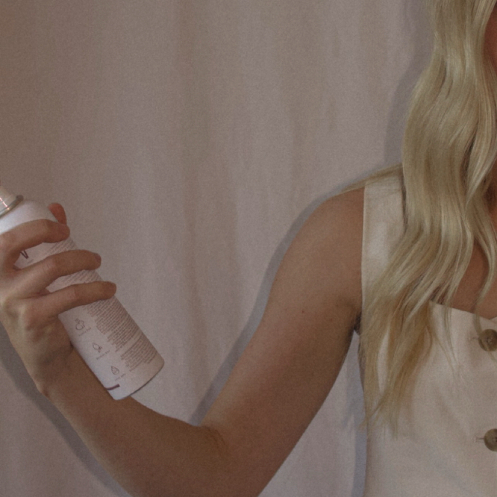 All Over Color at The Mane Society | Kayden in Rogers, AR