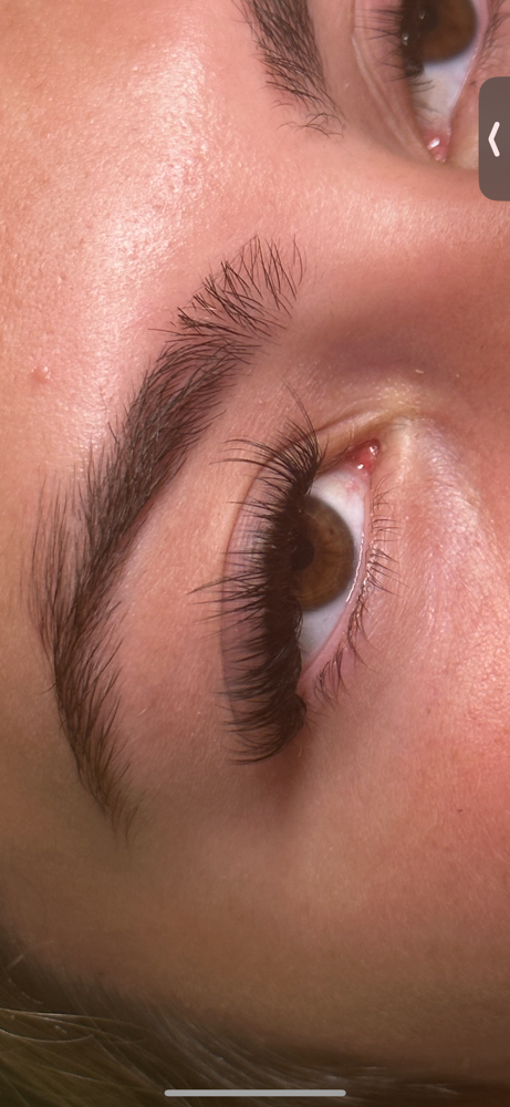 lash extension full set (any style)