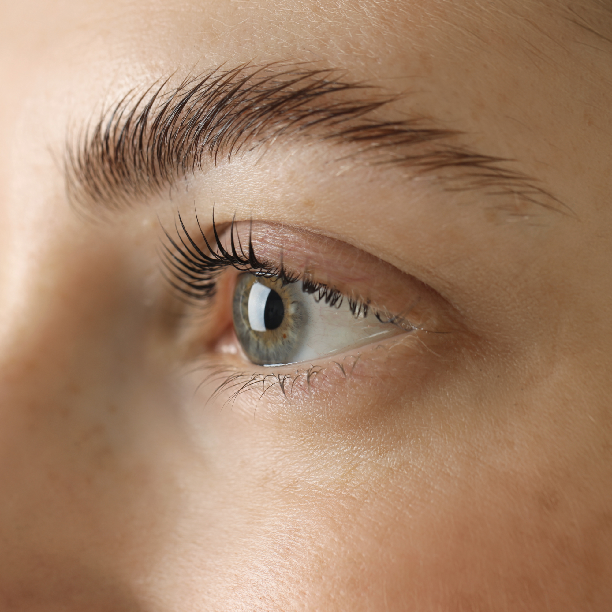 Eyelash Serum Treatment at Talking Tree Aesthetics & Bodywork in Frenchtown, MT